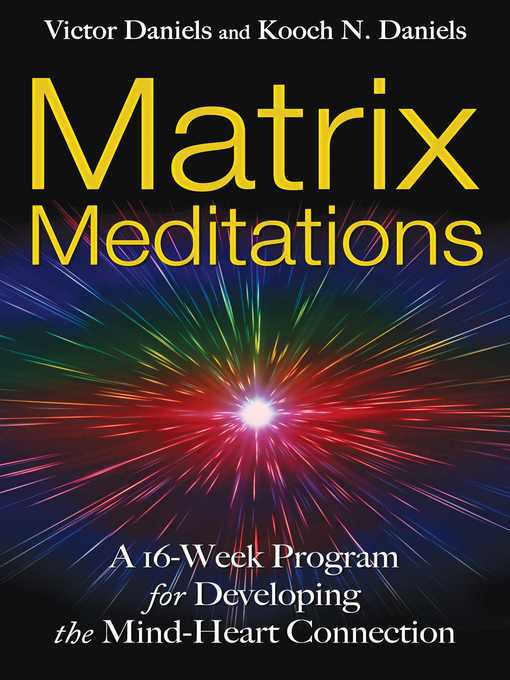 Cover image for Matrix Meditations
